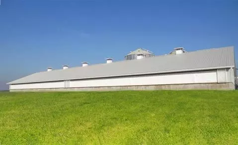 Exterior of a swine farm with insulated curtains and ridge chimneys in a natural ventilation setup.