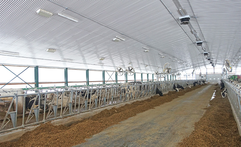 Tube ventilation for calf barns work
