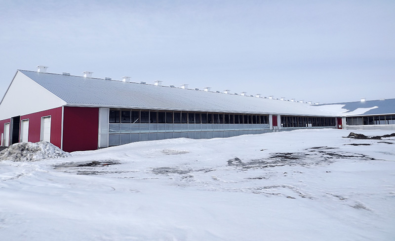 A barn on a cool winter day with partially open curtains and ridge chimneys.