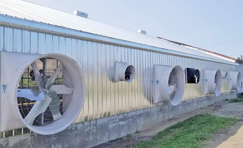 Large 72" diameter exhaust fans paired with smaller exhaust fans seen on an exterior wall of a barn.