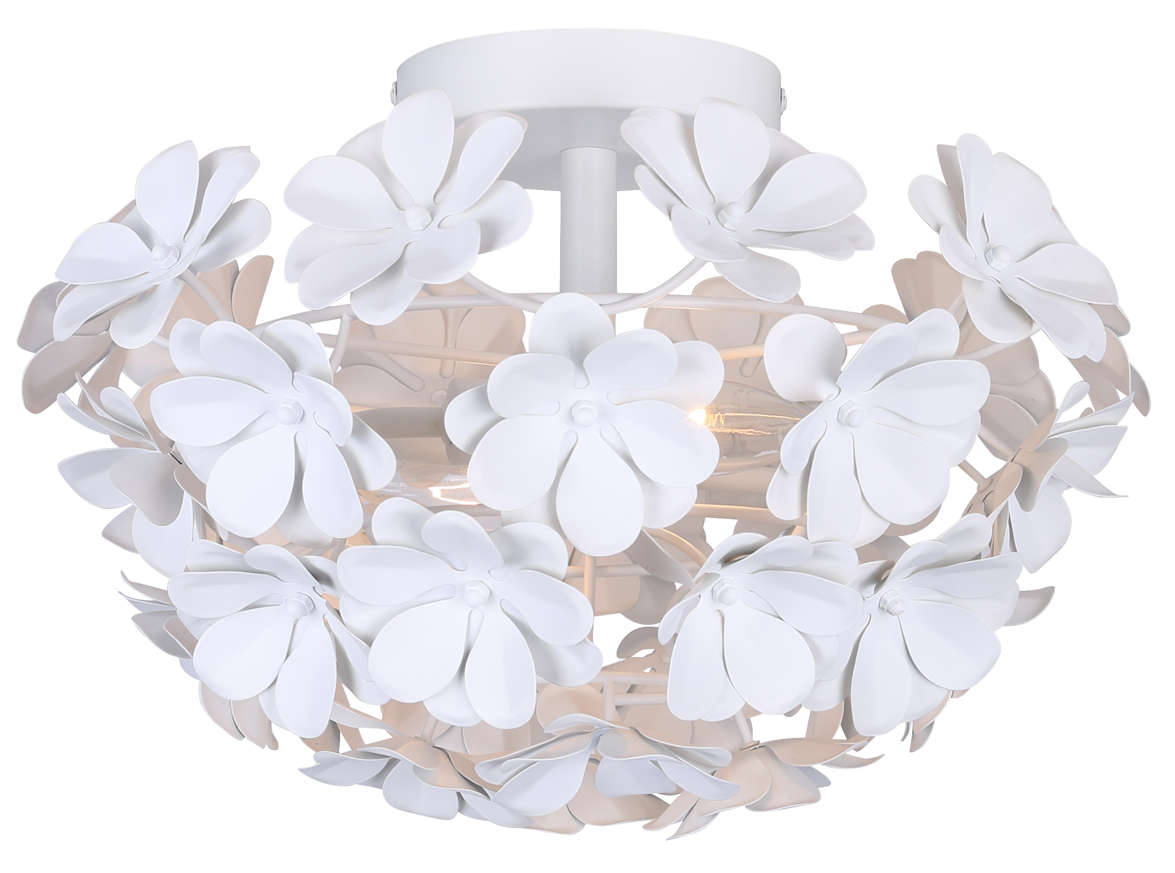 2024 CASSIA - Collections - Lighting